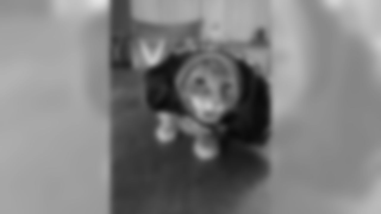 53270_8_2131432922