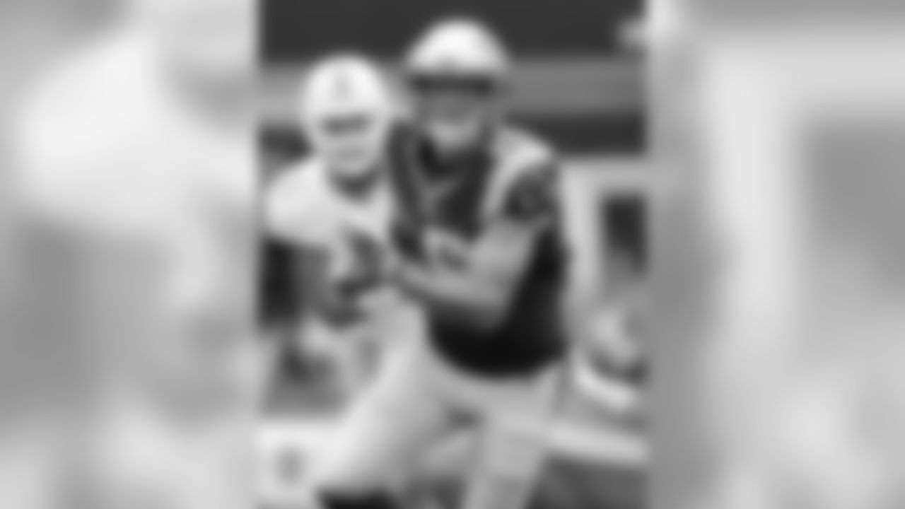 20160918_silverman_dolphins_best0280-watermarked.jpg