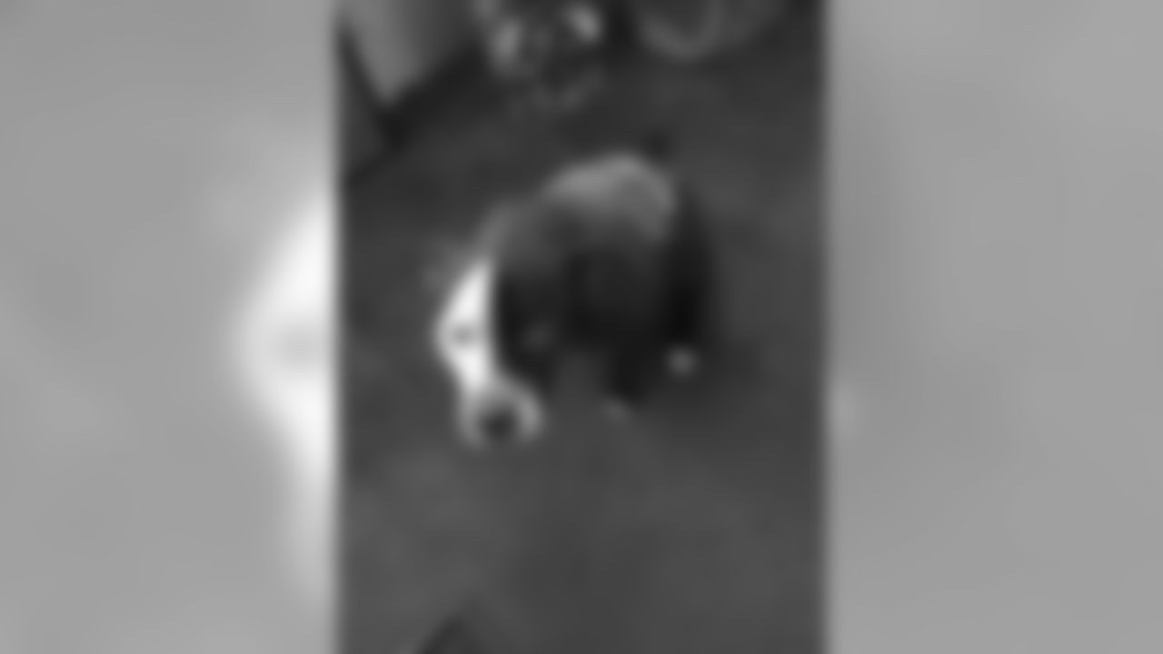 40flf_.jpeg