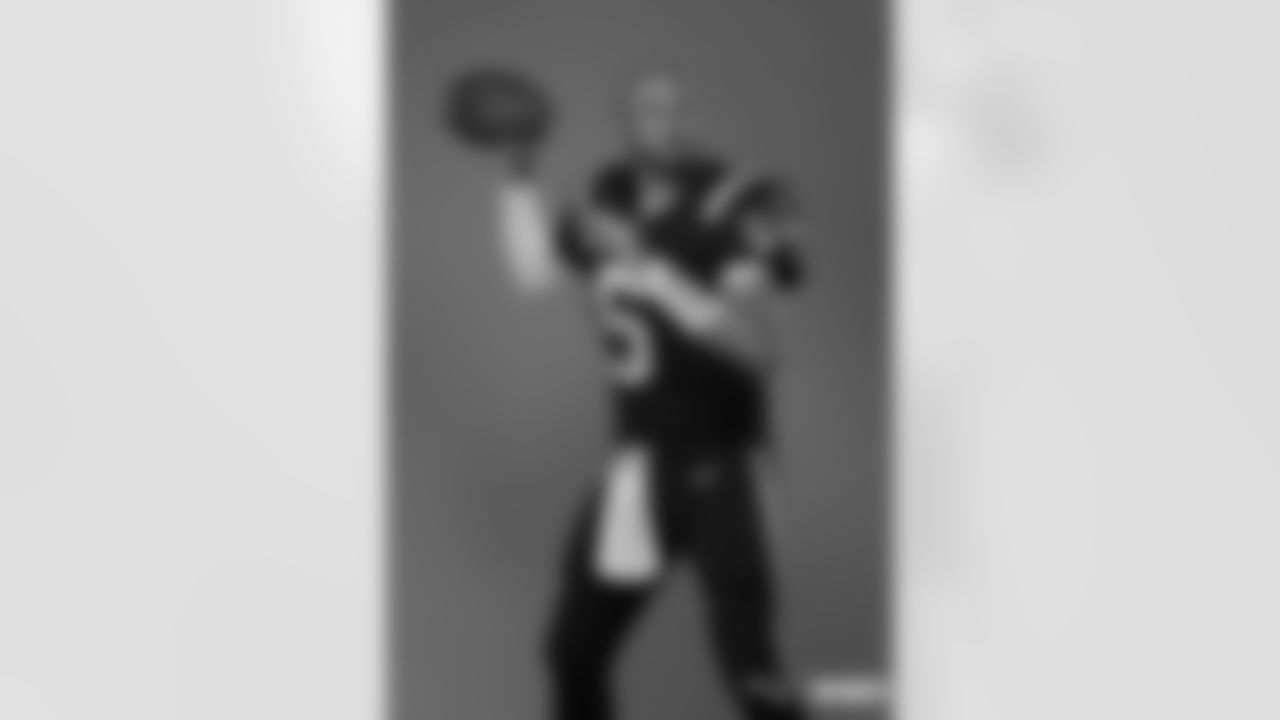 Brian Hoyer