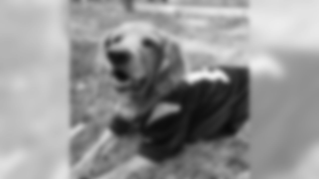 21909345_1782130631806661_5185840914458738688_n.jpg
