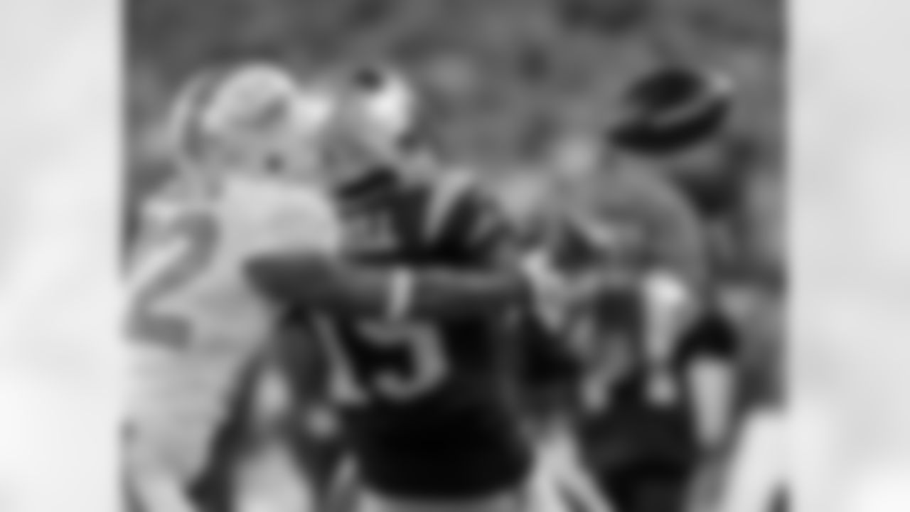 20151029kdn_dolphins_0274.jpg