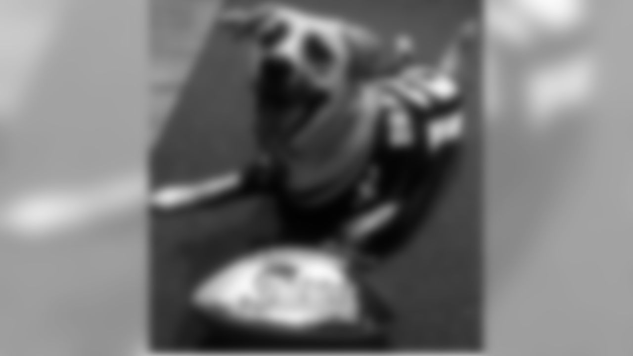 53270_8_1808940209.jpg