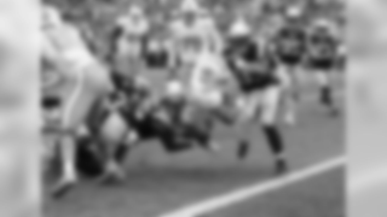 20160918_silverman_dolphins_best0296-watermarked.jpg