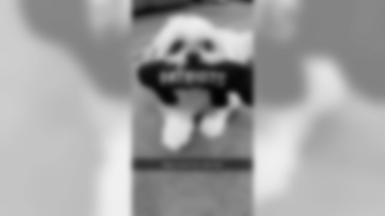 53270_8_2659225822