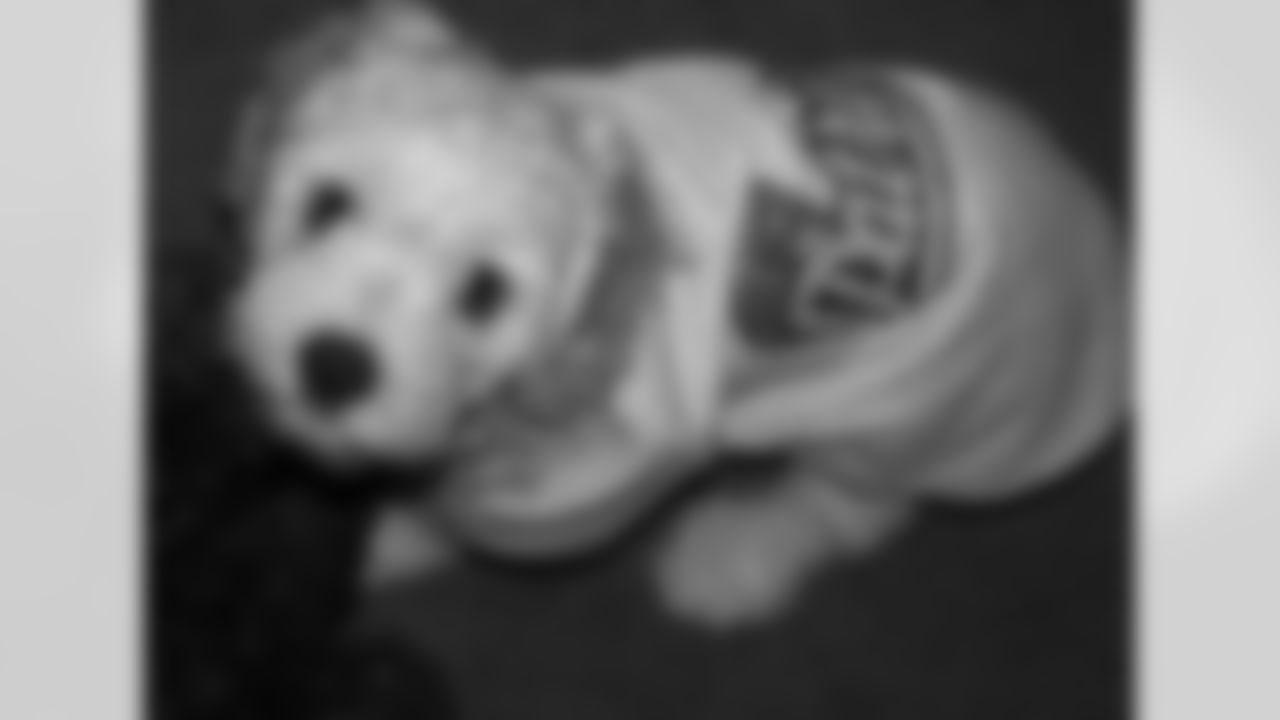 1620731_10203318392867176_797573805_n.jpg