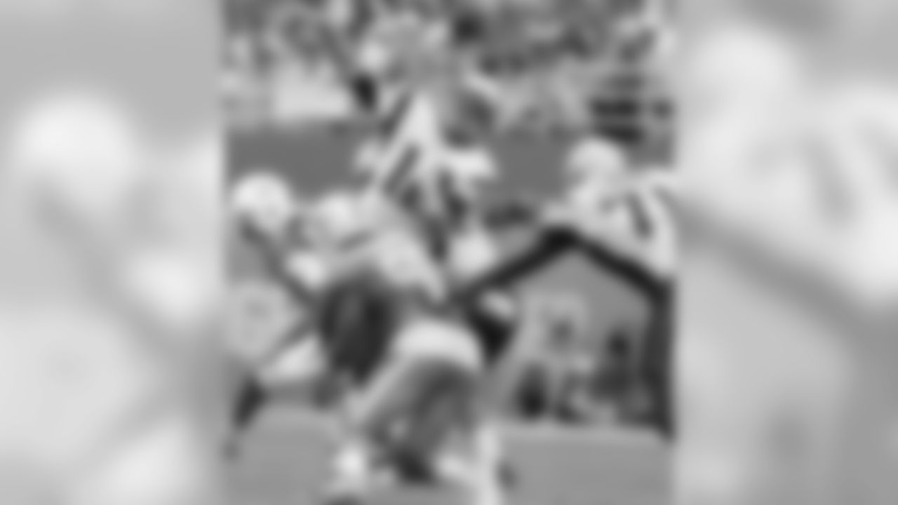 20160104_dsp_dolphins_1033.jpg
