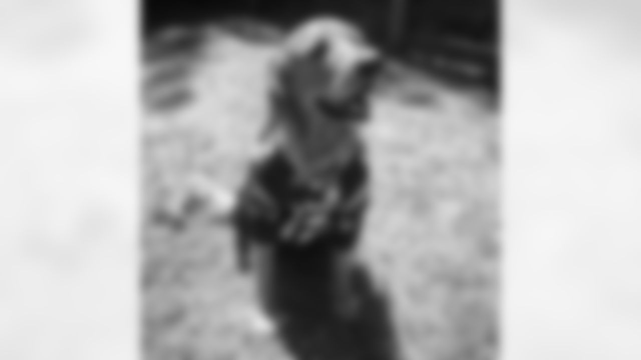 21373167_1062667337169774_8007654640046833664_n.jpg