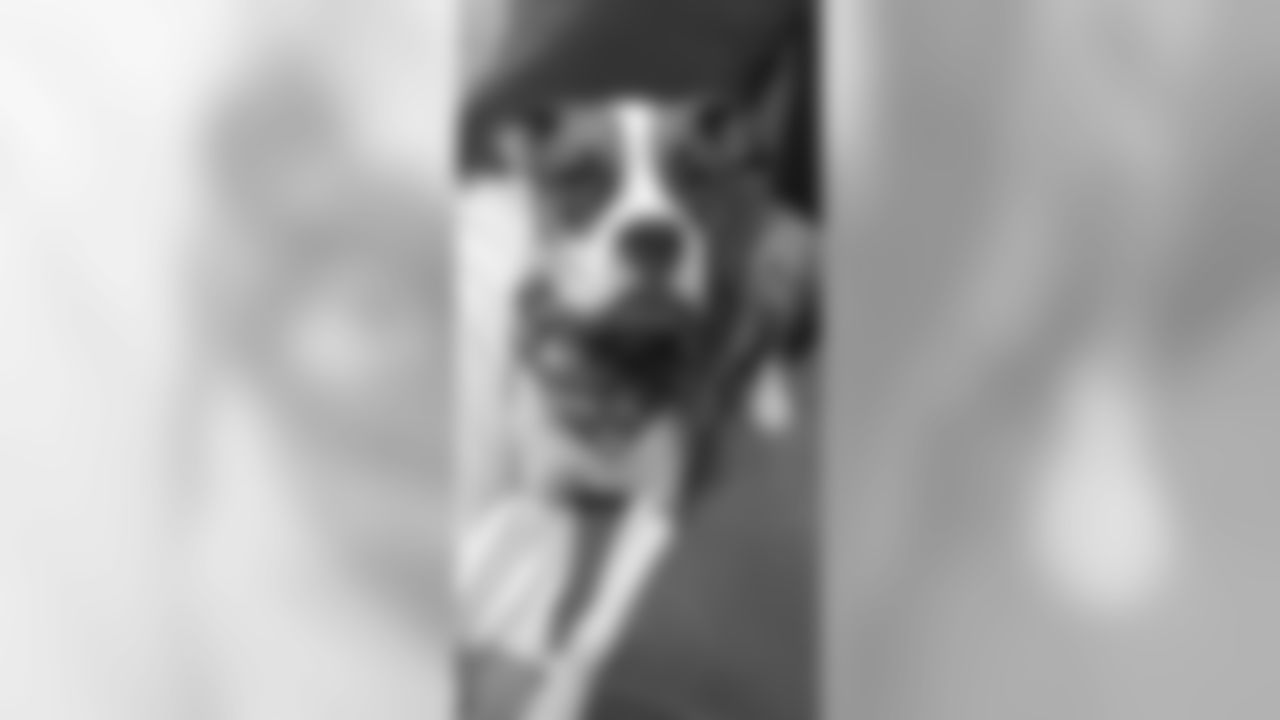 53270_8_283141829