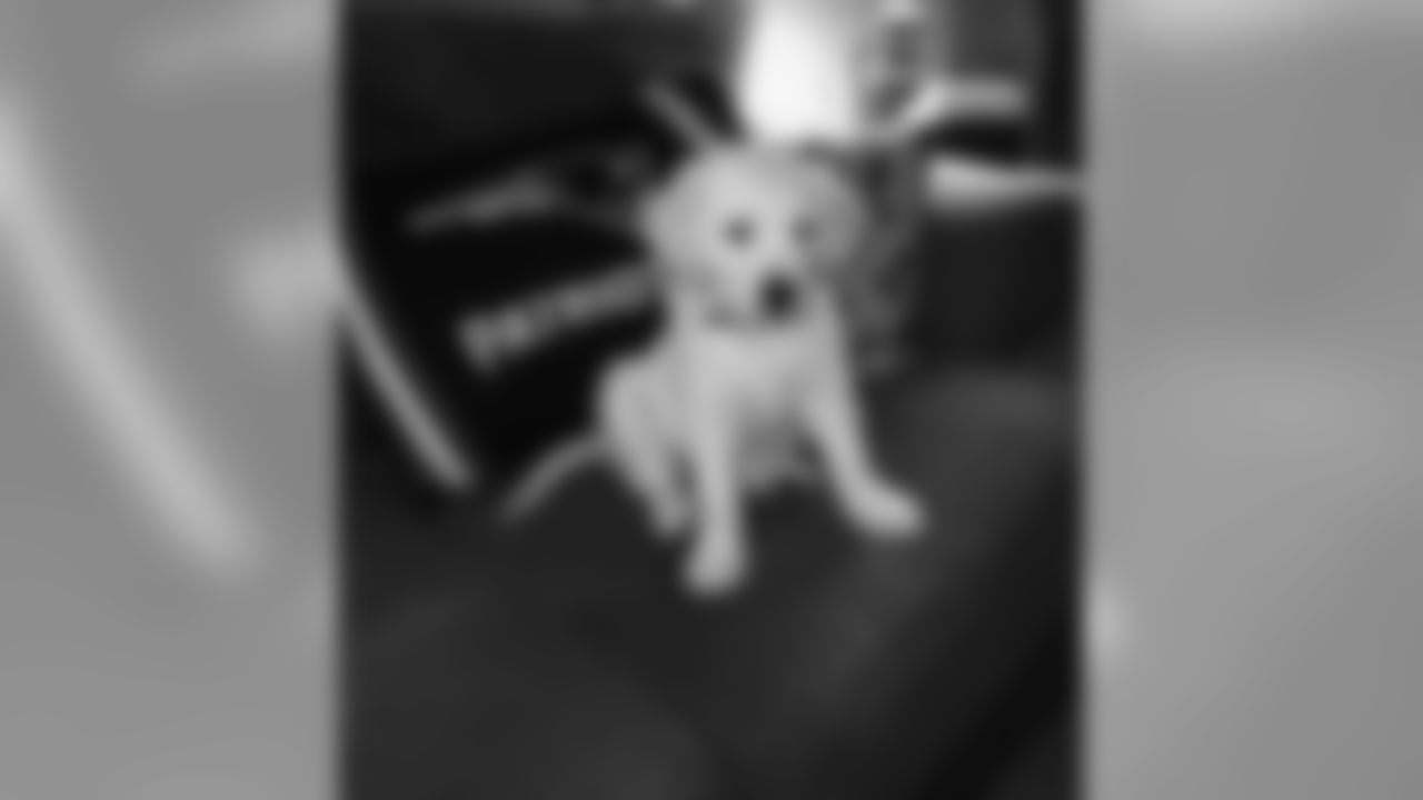 53270_8_2633421405