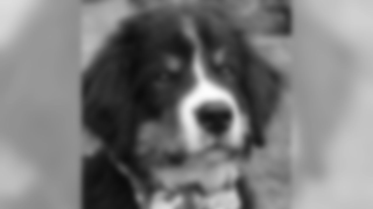 20160930_pet_03.jpg