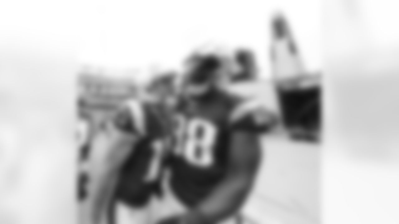 20160918_silverman_dolphins_best0273-watermarked.jpg