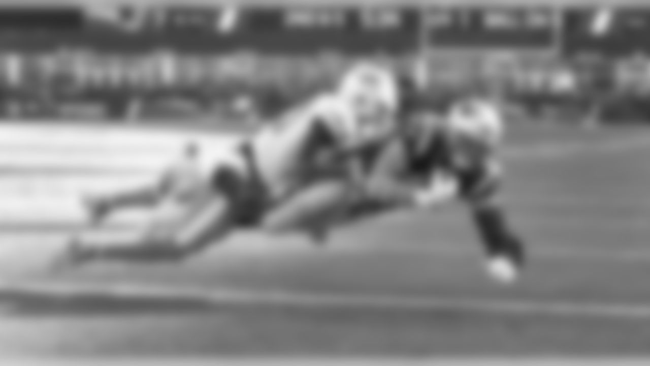 20171126_dolphins_nordstrom530.jpg