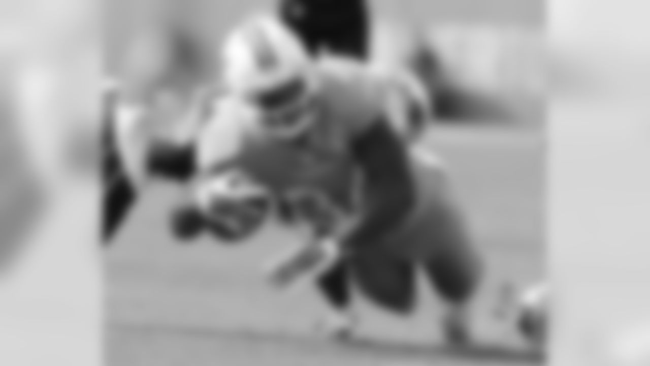 20160104_dsp_dolphins_1011.jpg
