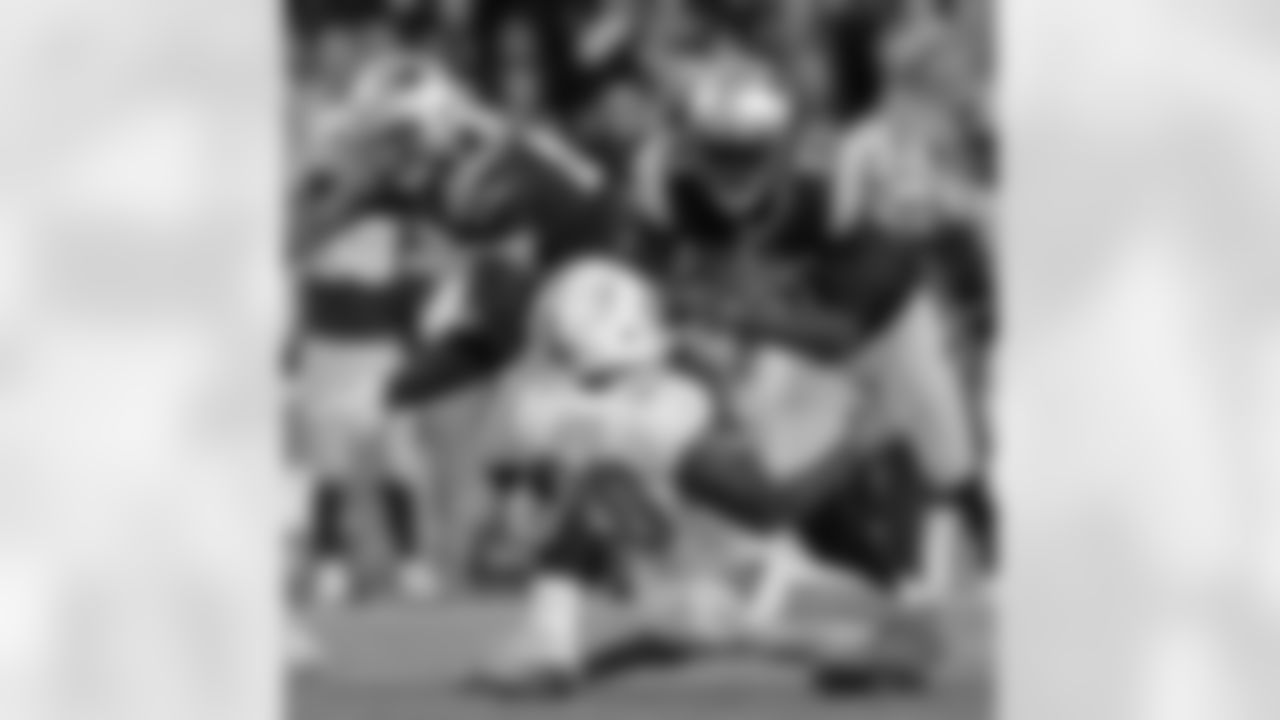 20151029kdn_dolphins_0284.jpg