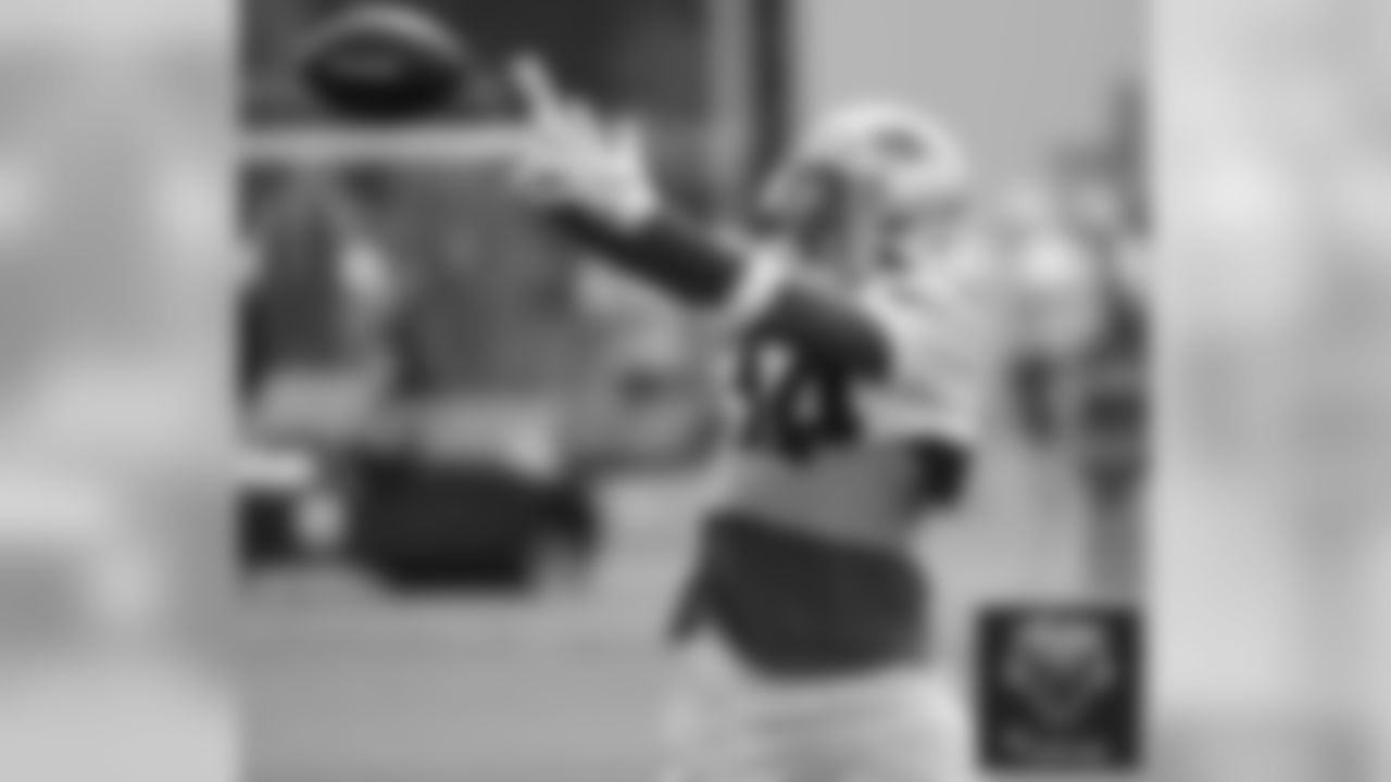 Rex Burkhead