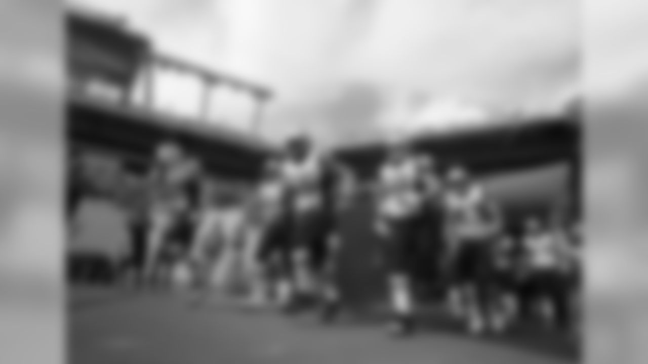 20160104_dsp_dolphins_1041.jpg