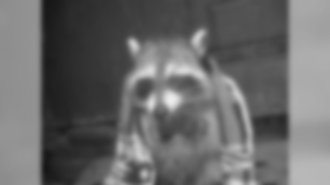 53270_8_3980583266.jpg