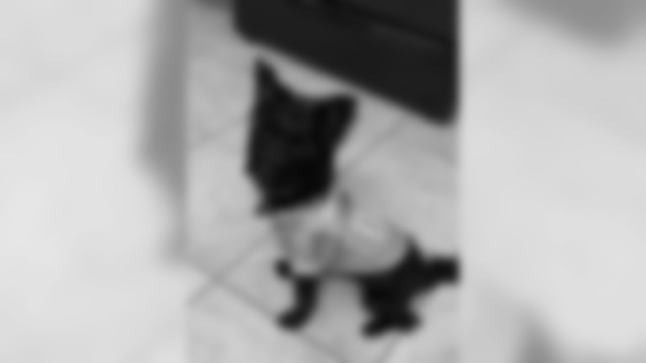 53270_8_2824678021