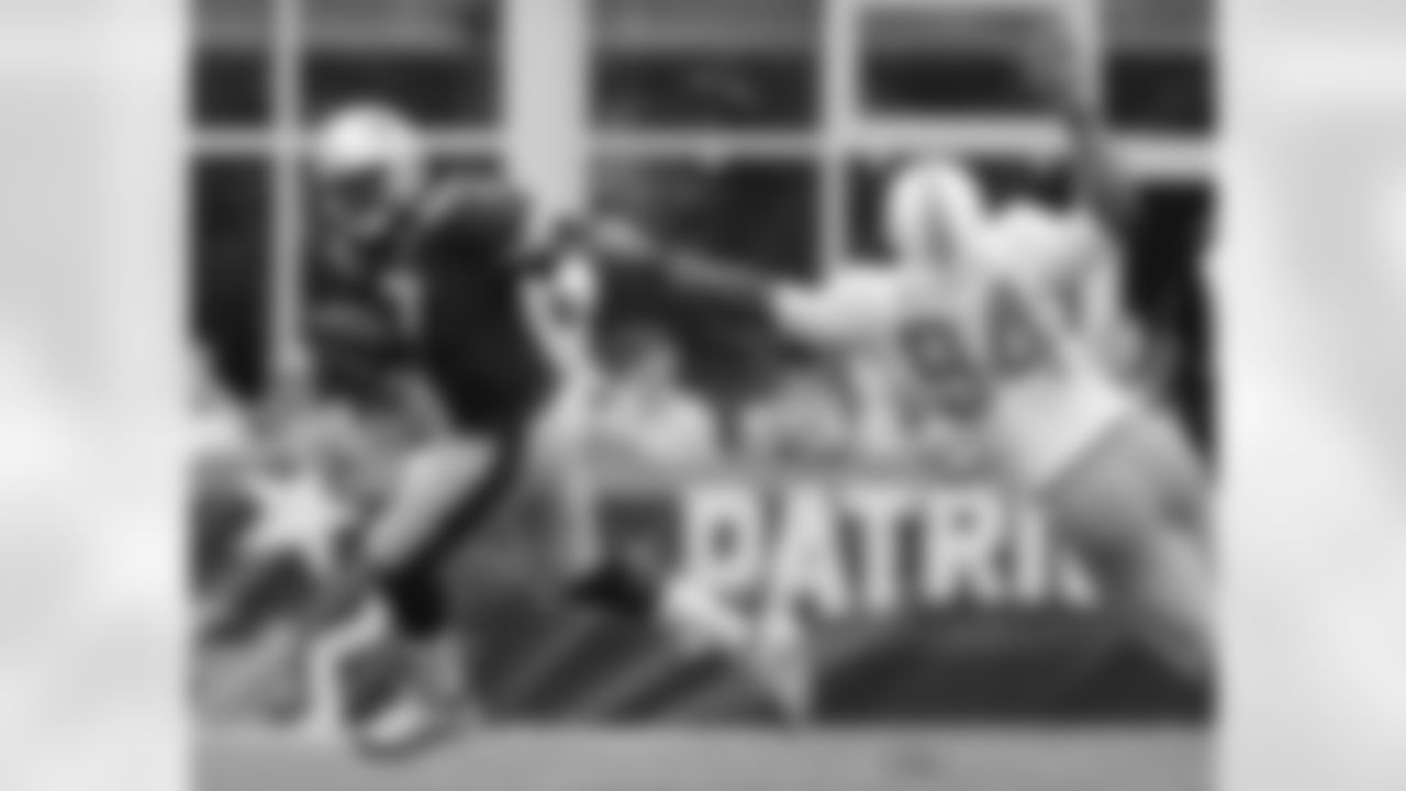 20160918_silverman_dolphins_best0306-watermarked.jpg