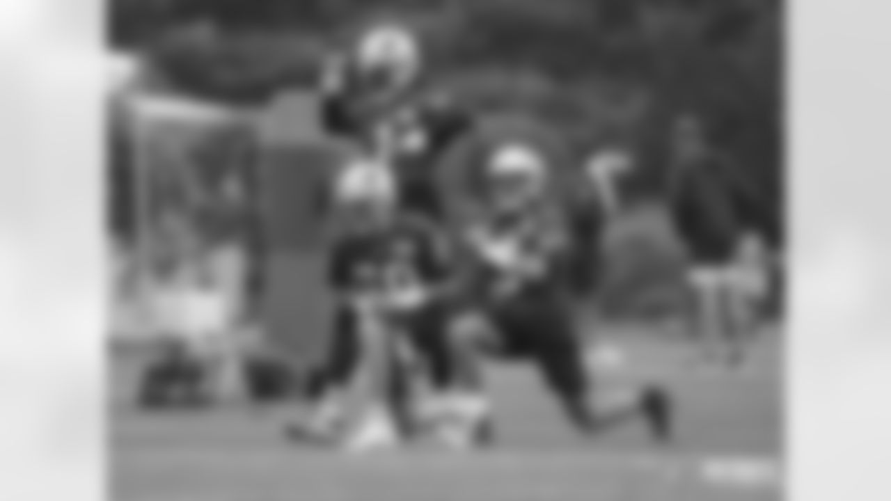 Cam Newton, Mac Jones, Brian Hoyer