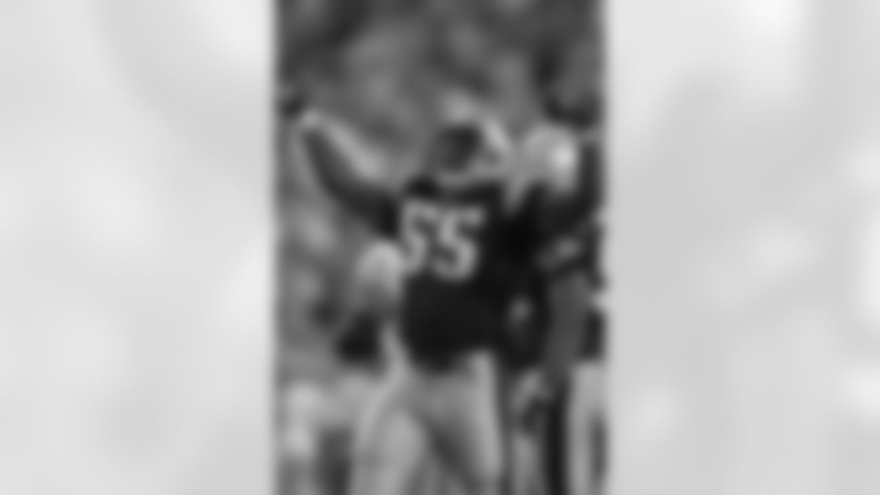 mcginest.jpg