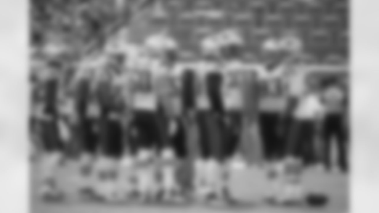 20160104_dsp_dolphins_0995.jpg