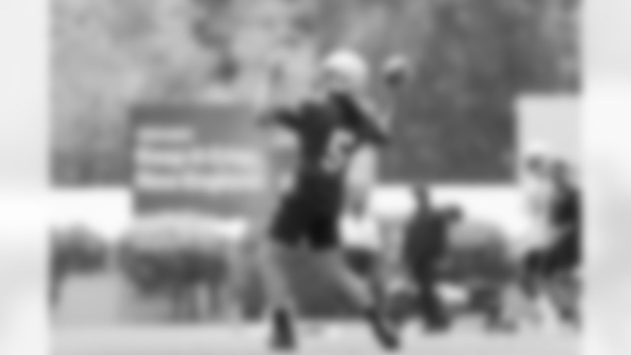 Brian Hoyer