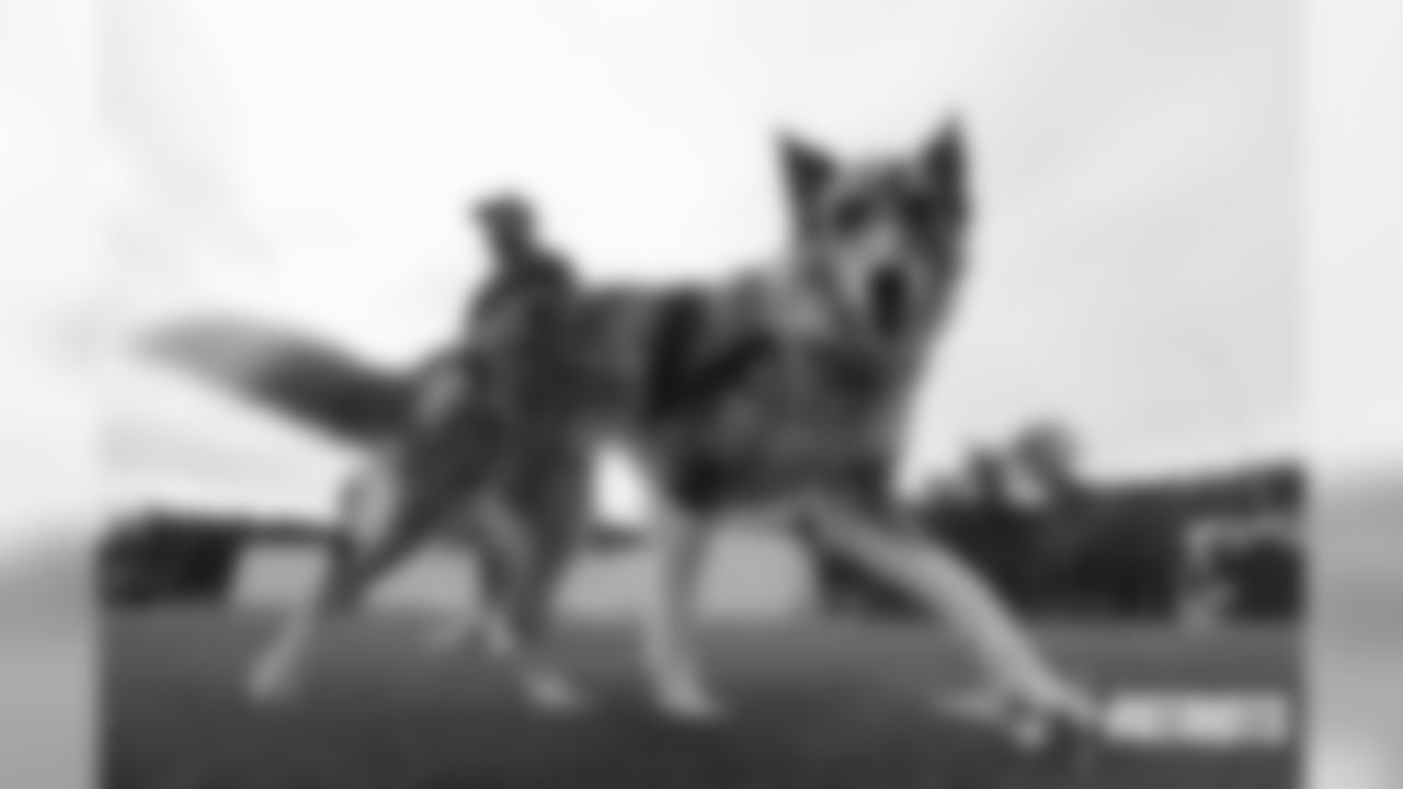 091019-BoydTheDog_EJA038-watermarked