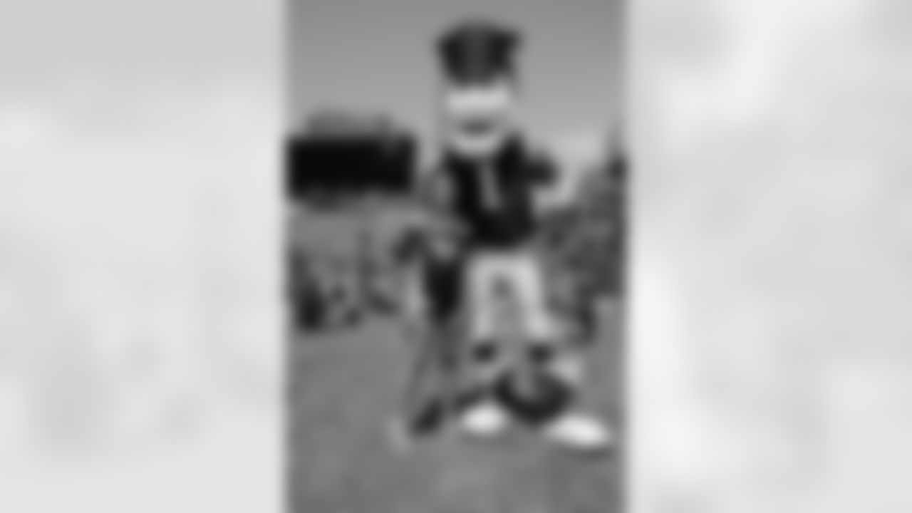 _41a7376_0.jpg