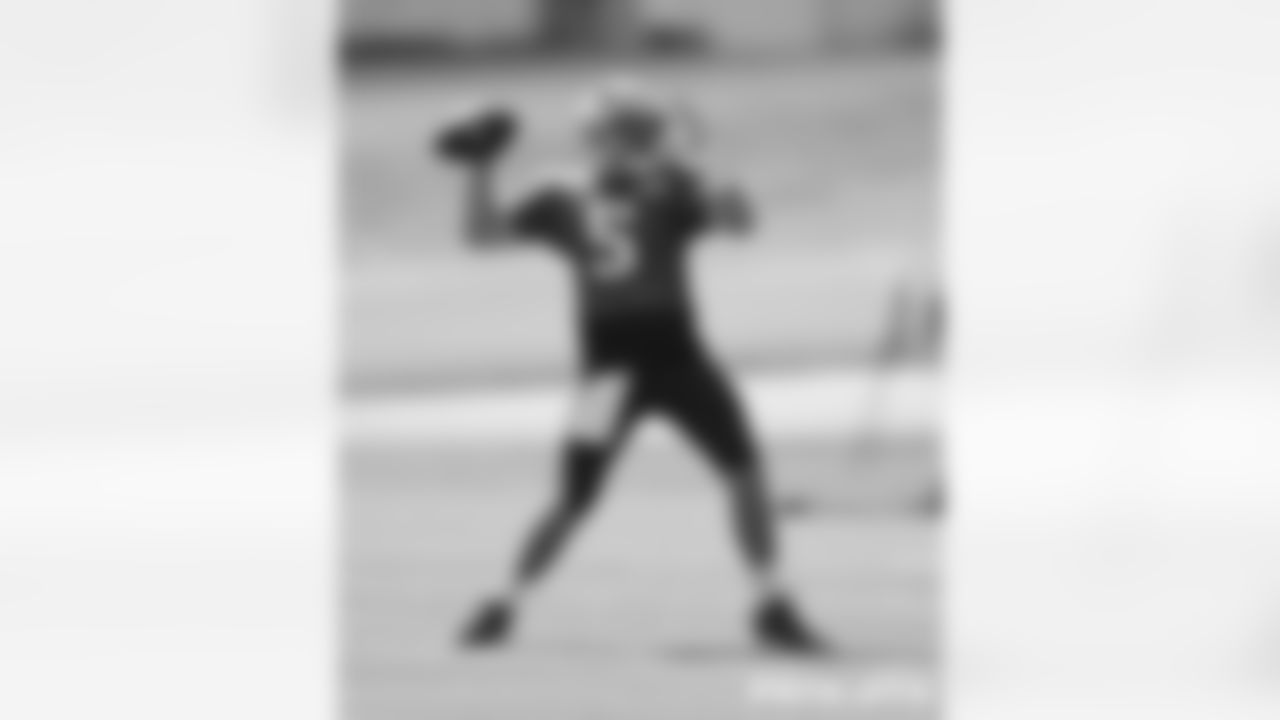 Brian Hoyer