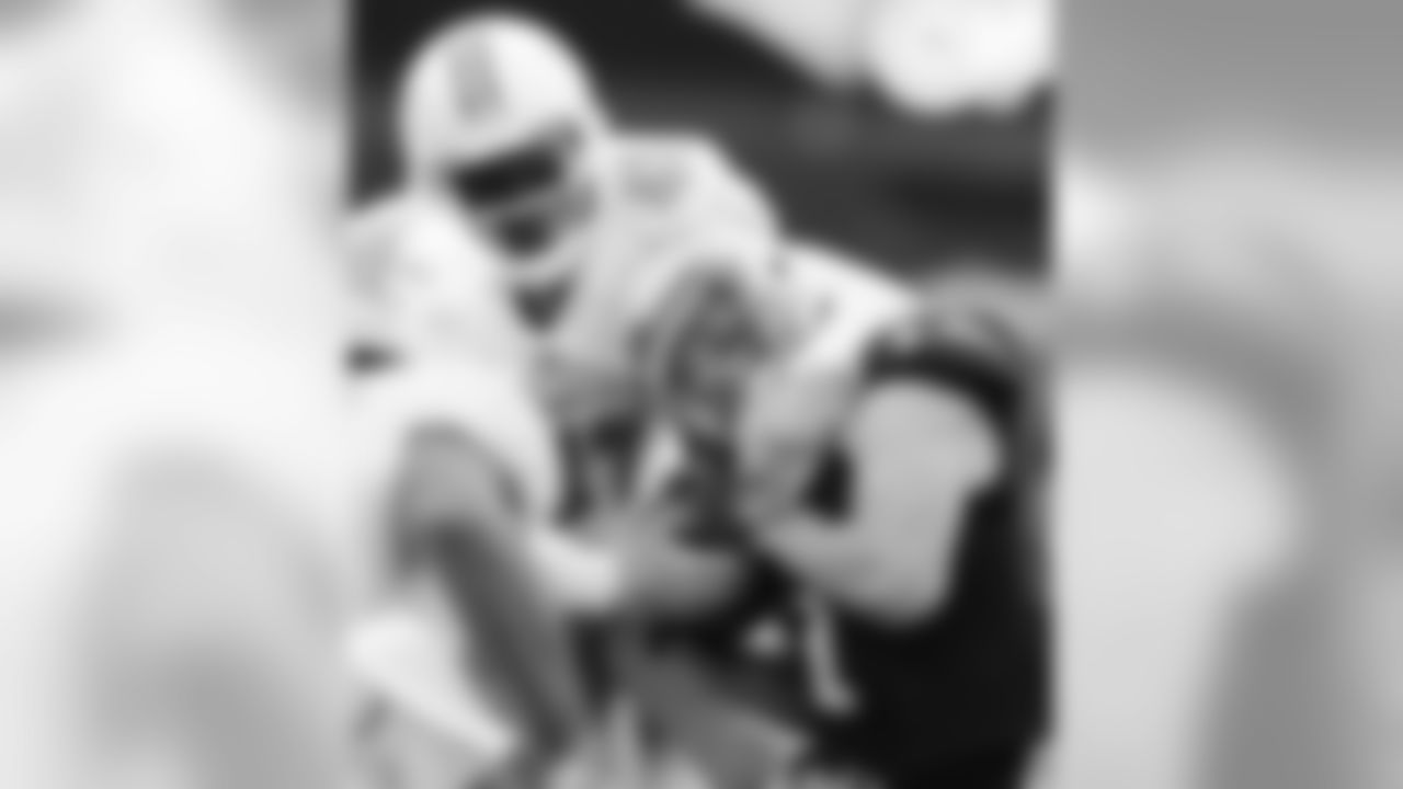 20160918_silverman_dolphins_best0267-watermarked.jpg