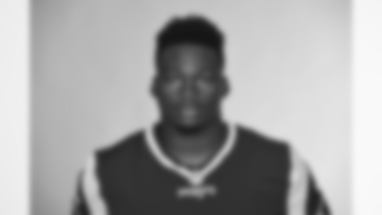 This is a 2016 photo of Woodrow Hamilton of the New England Patriots NFL football team. This image reflects the New England Patriots active roster as of May 25, 2016 when this image was taken. (AP Photo)