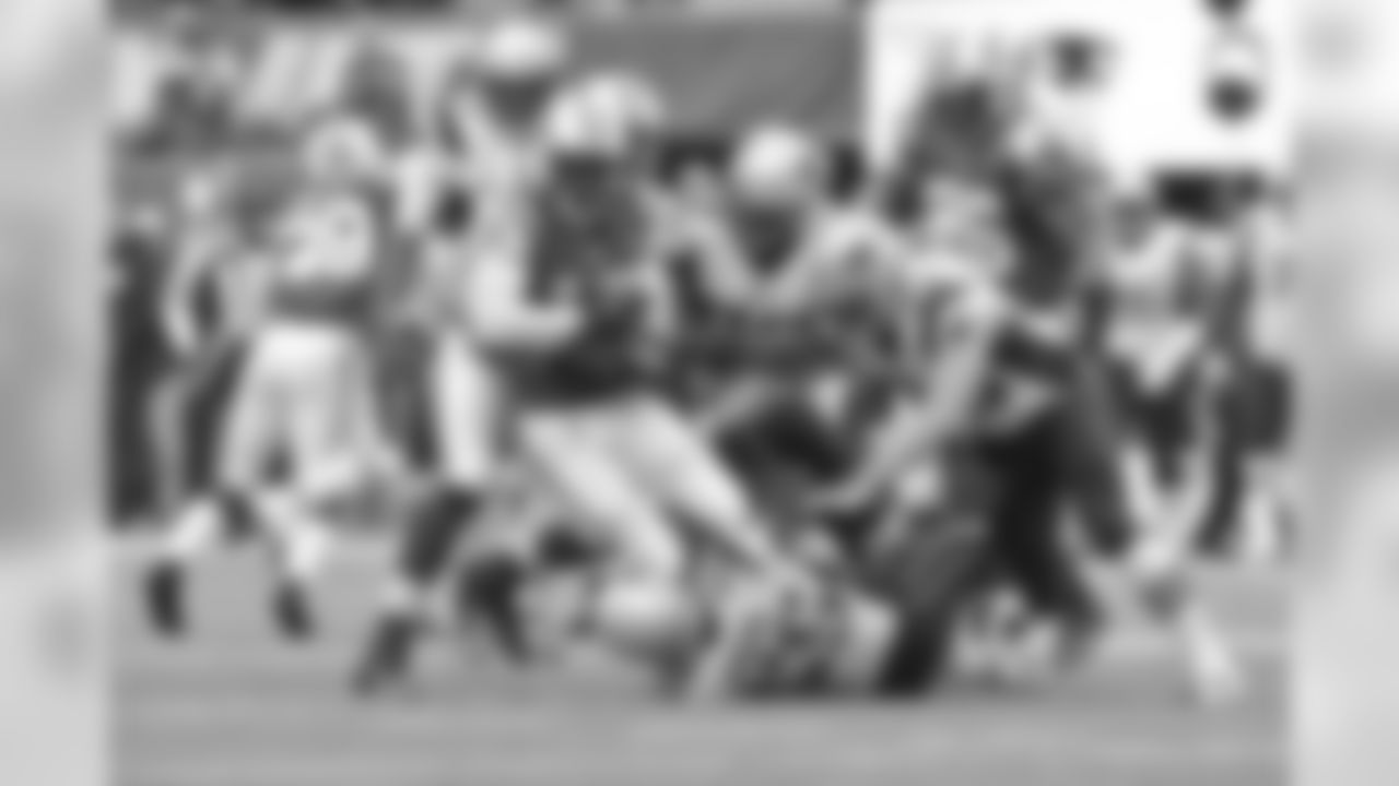 temp_DSC6016.jpg