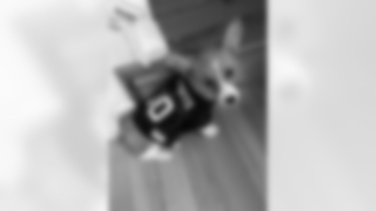 mp16ua.jpeg
