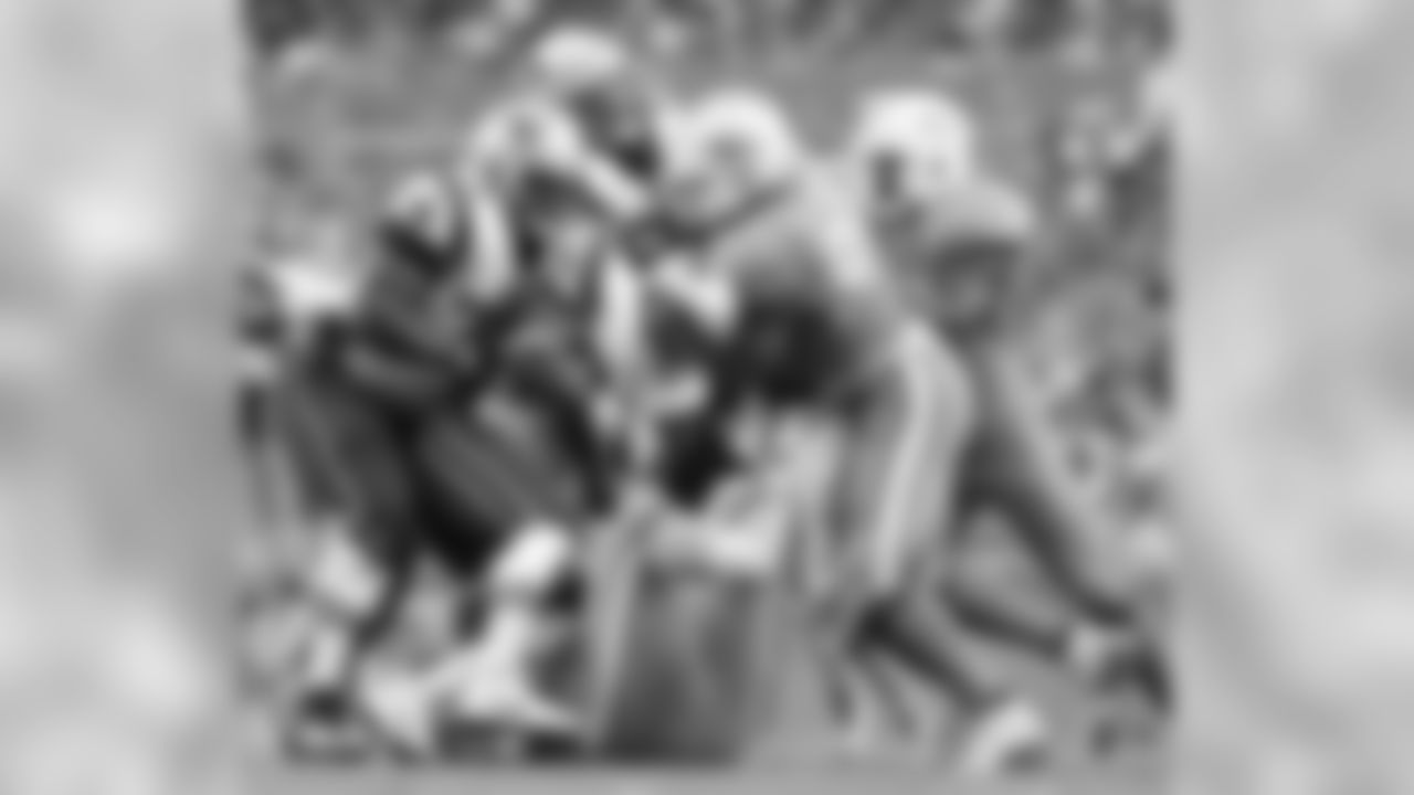 20160104_dsp_dolphins_1005.jpg