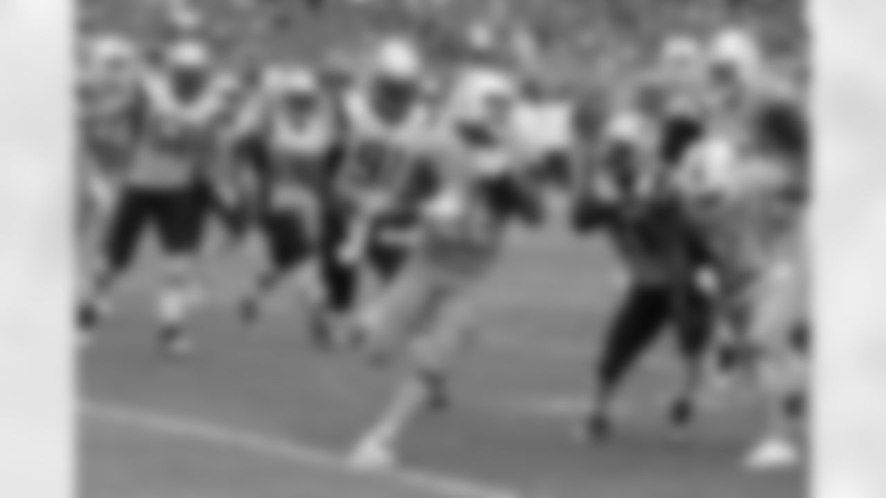 20160104_dsp_dolphins_1001.jpg