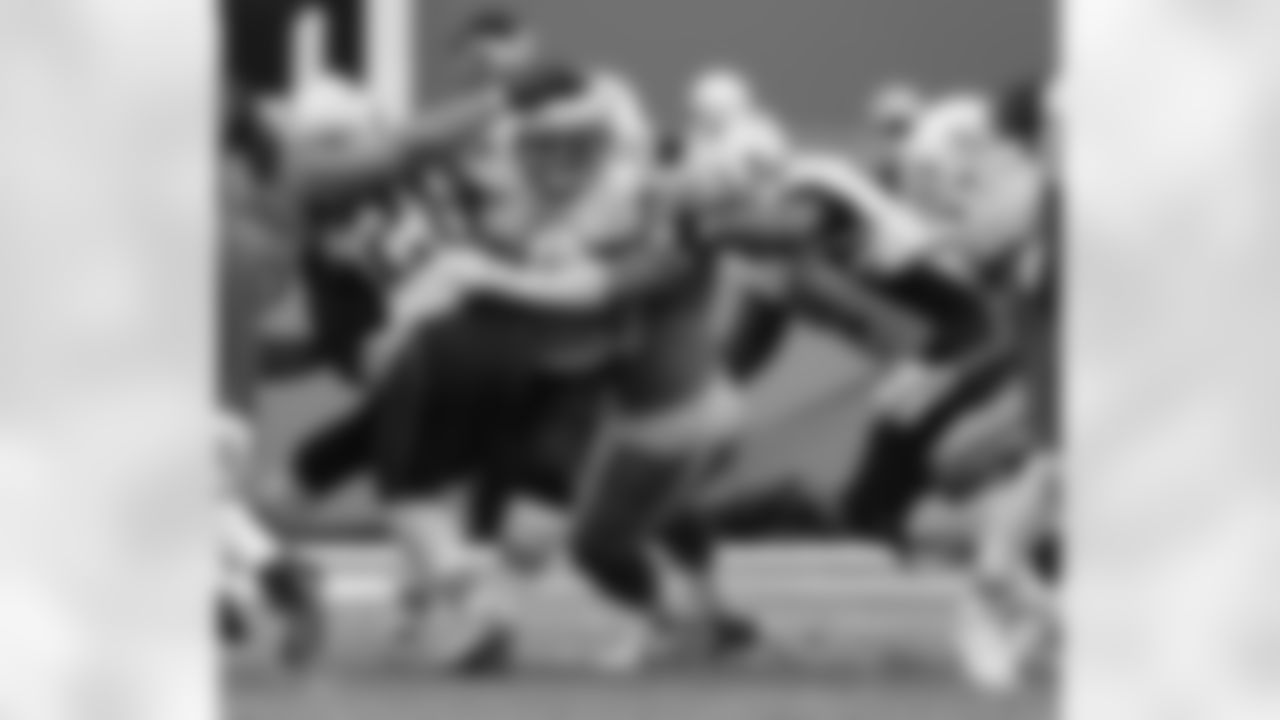 20160104_dsp_dolphins_1036.jpg