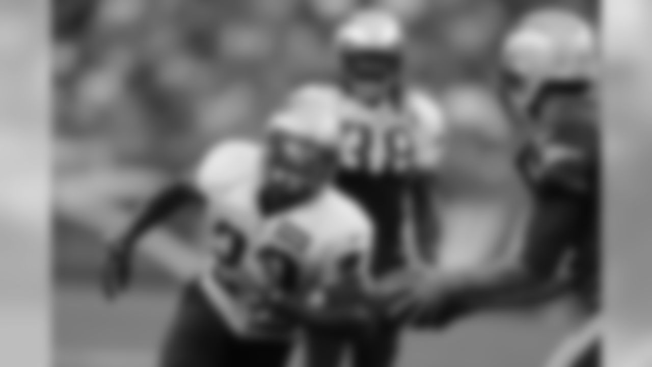 Stevan Ridley