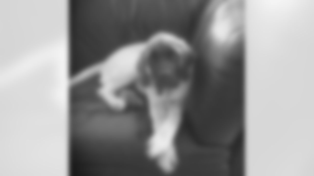 20151125-robninkovich-_0.jpg