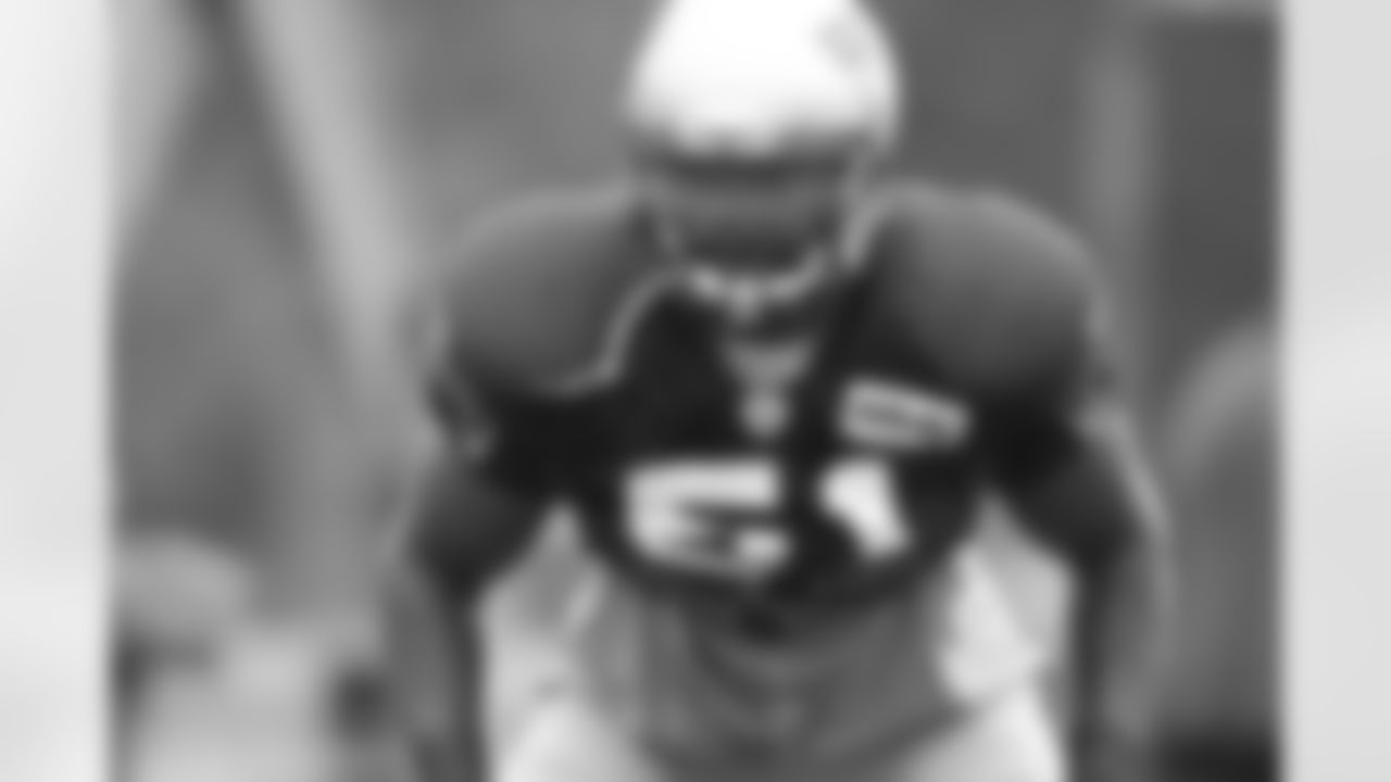 Jerod Mayo at Training Camp