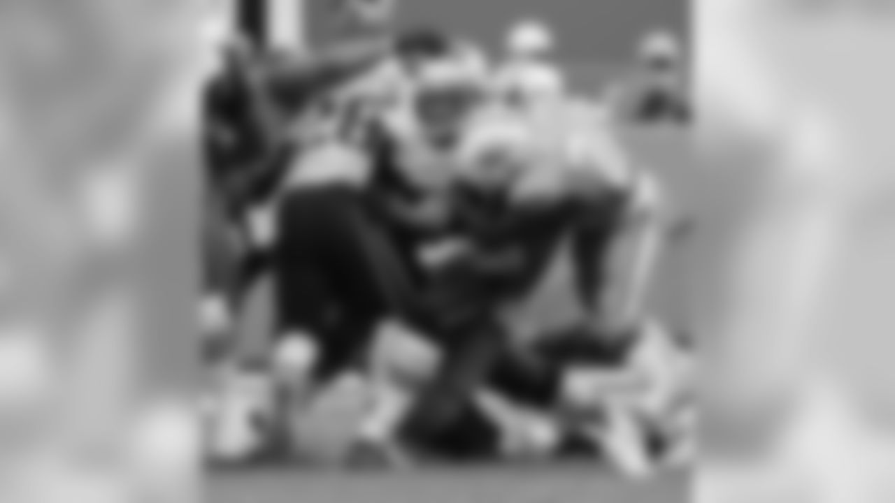 20160104_dsp_dolphins_1037.jpg