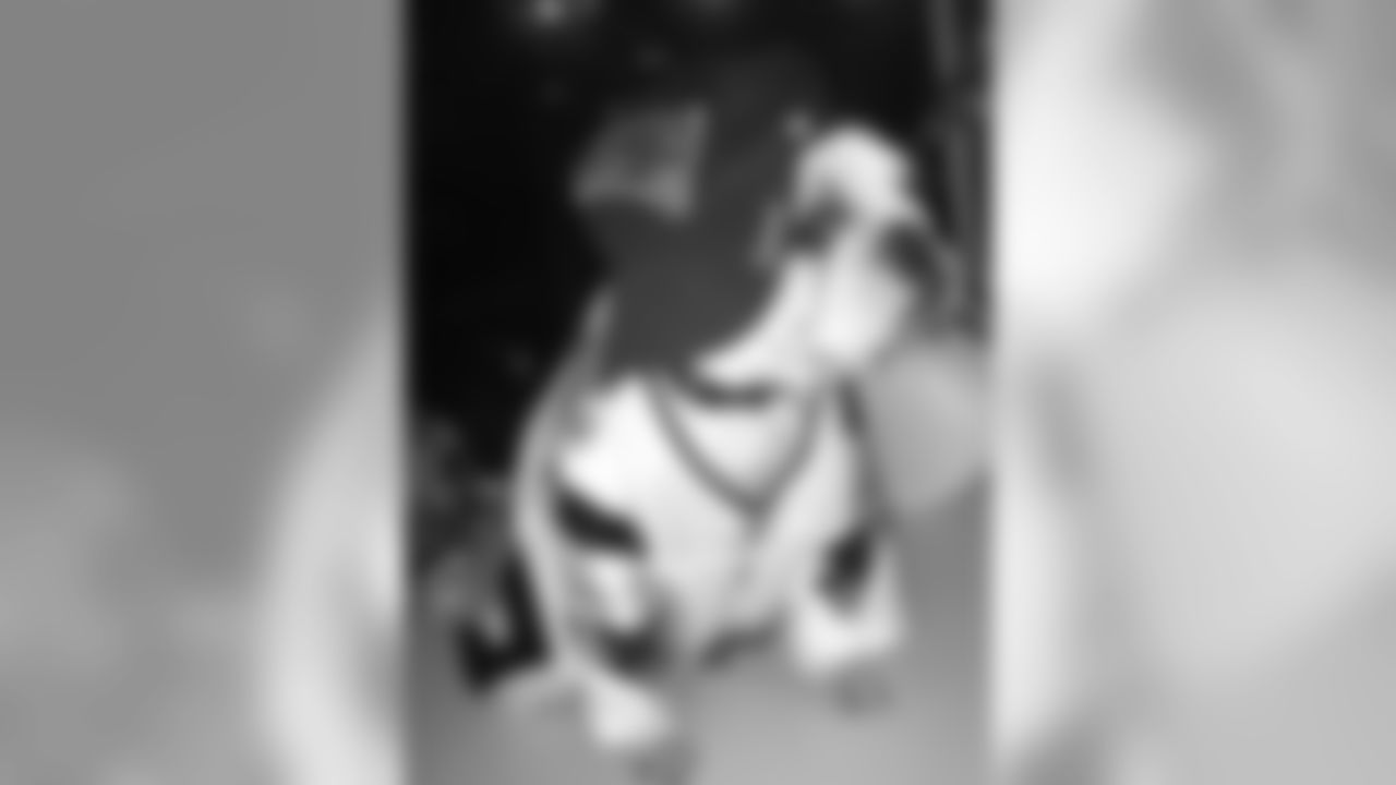 20160930_pet_19.jpg