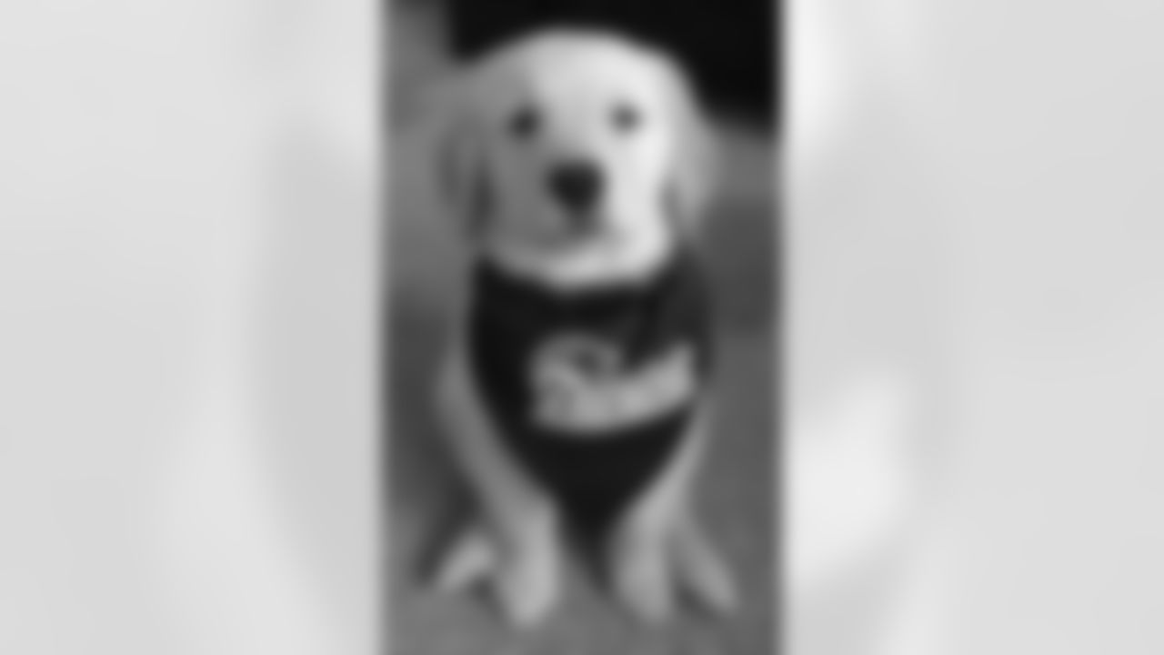 tempXsddUg1.jpg