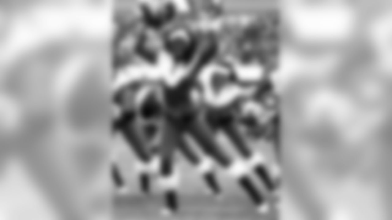 ddd19559-watermarked.jpg
