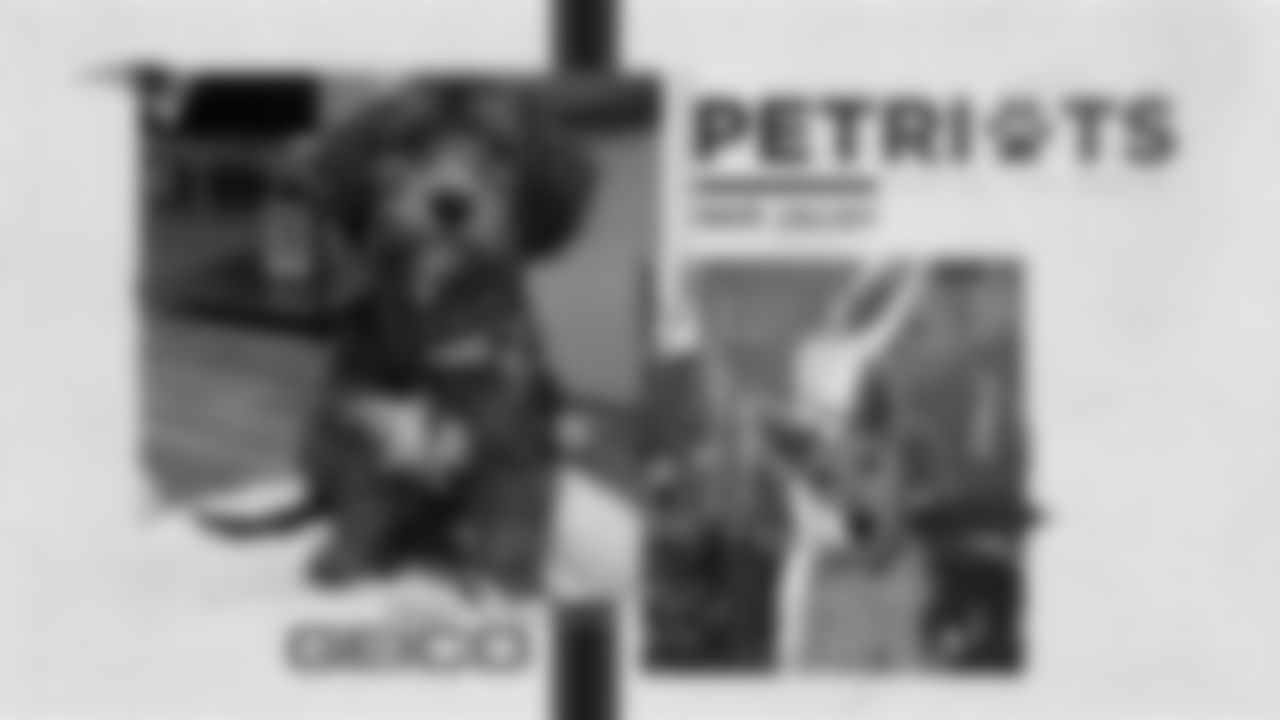 2020-PetriotsGallery-PDC