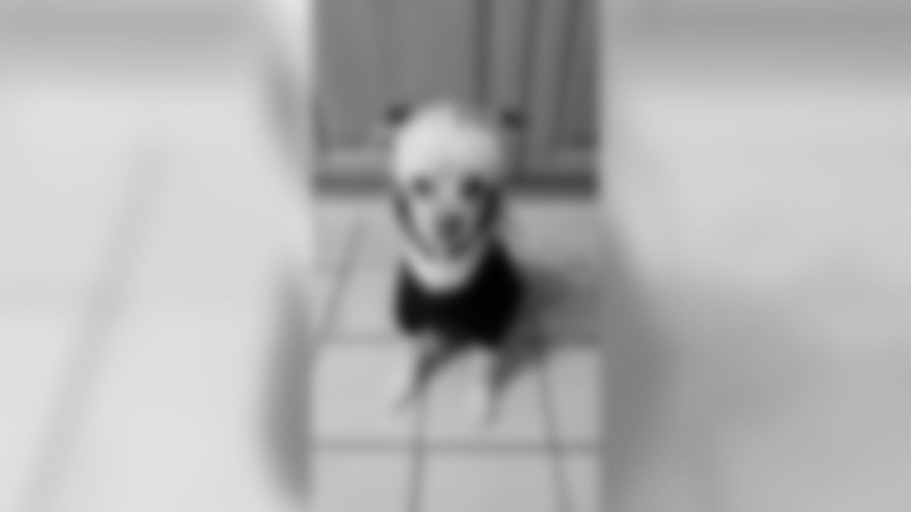 53270_8_50788200