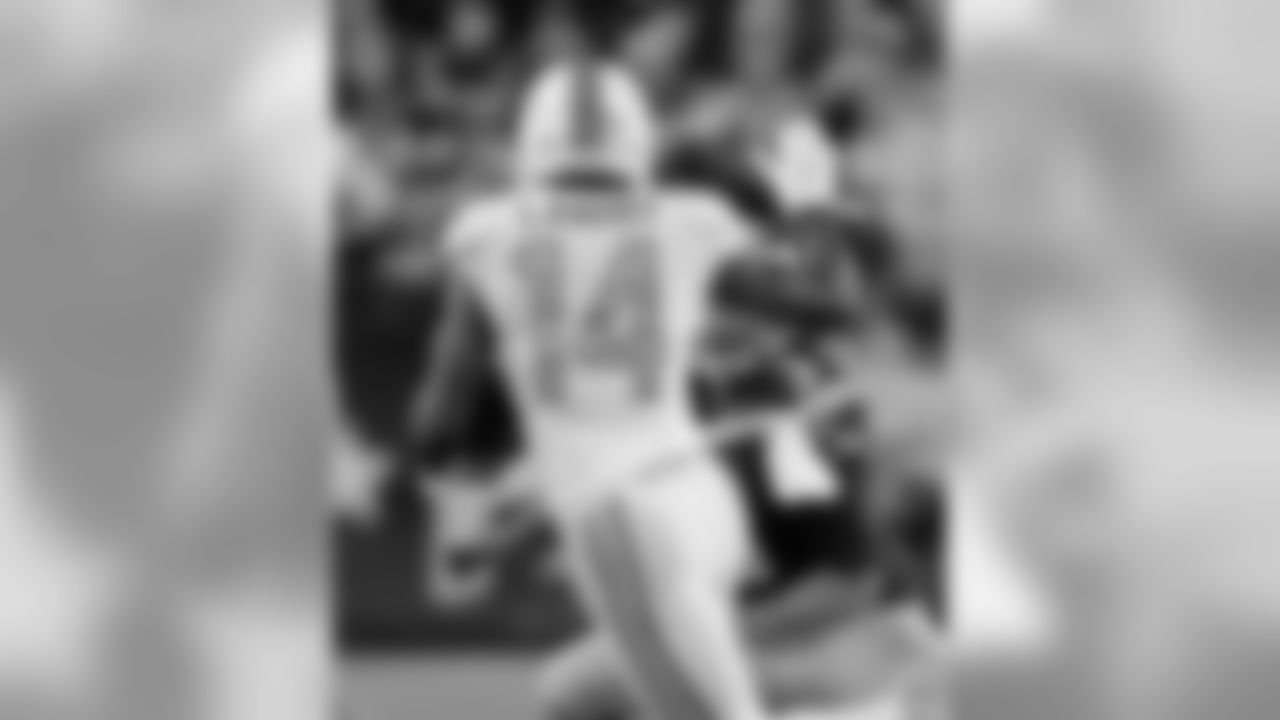 20151029kdn_dolphins_0289.jpg