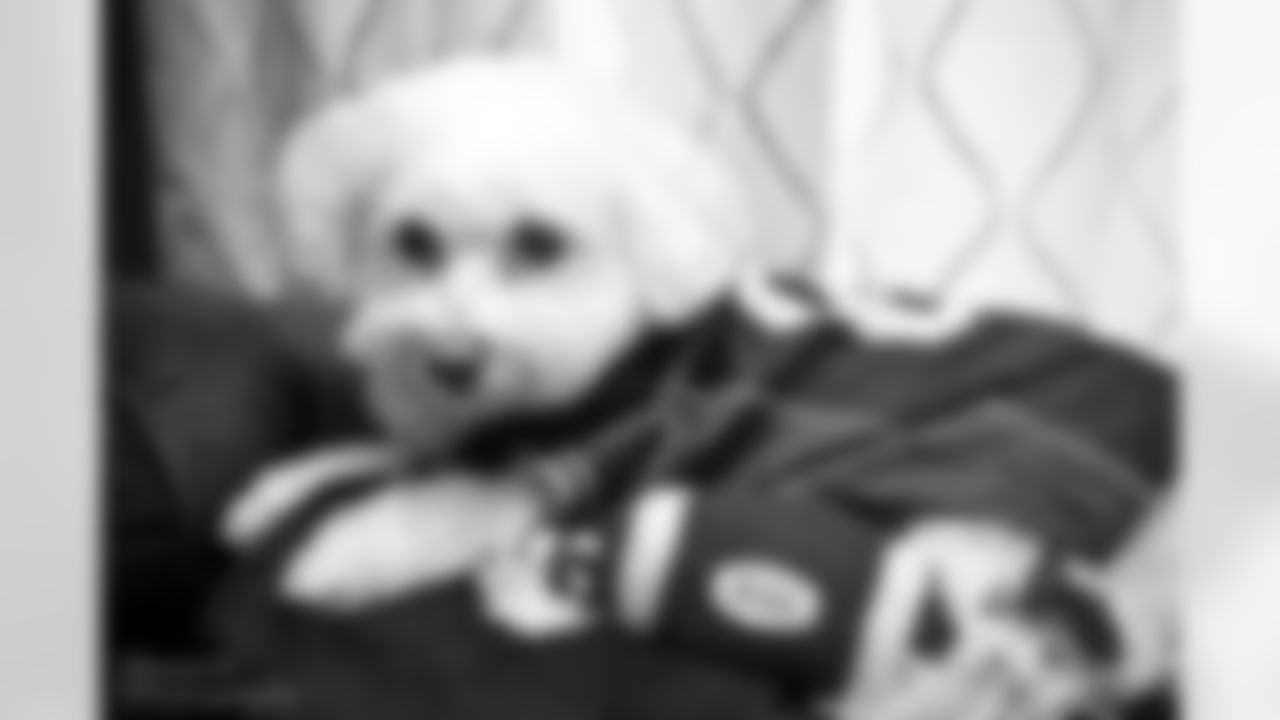tempdog1.jpg