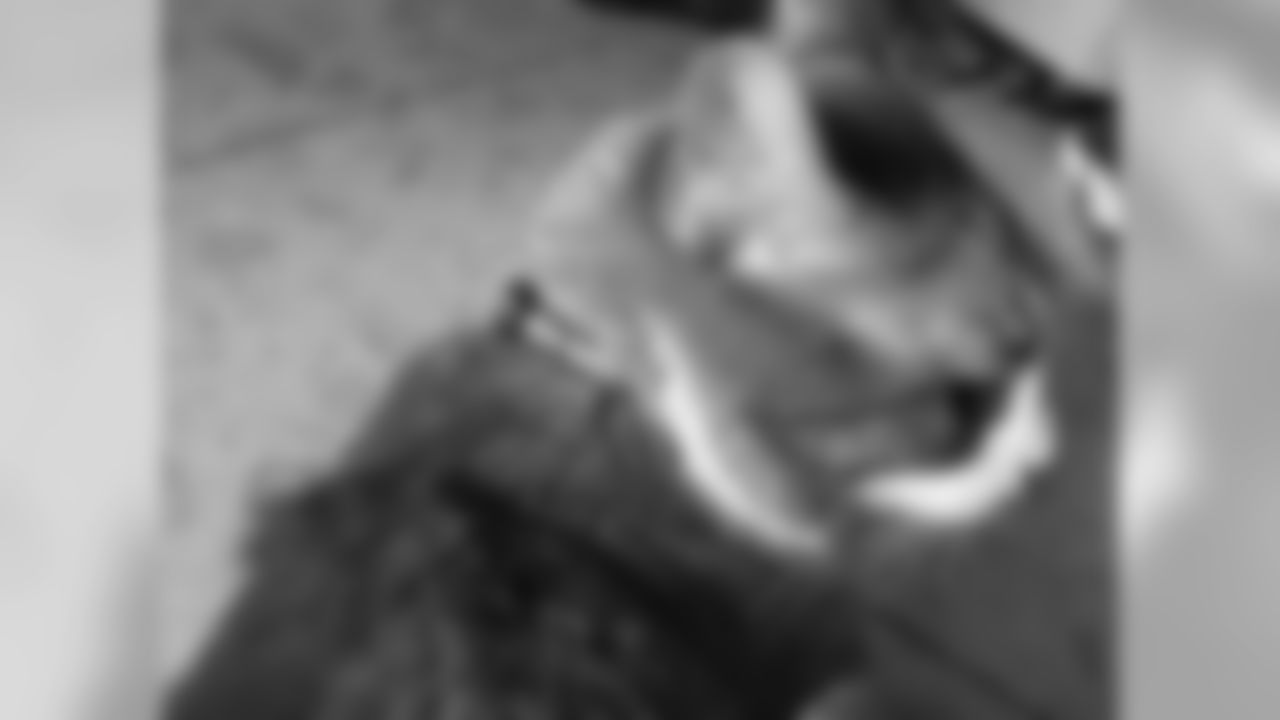 53270_8_1828540247